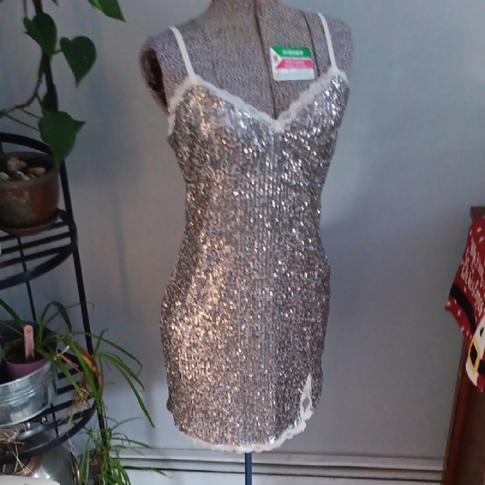 Wild Fable Glittering Silver Chemise